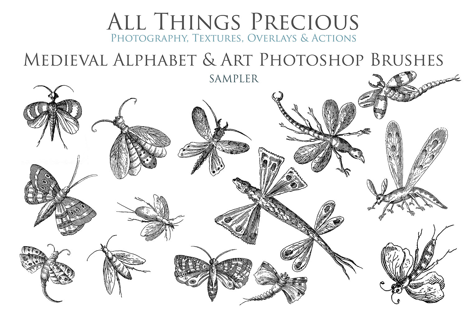 Photoshop brushes for photography and digital design.  Alphabet letters from medieval images. Flowers and bugs. High resolution digital files.  ATP Textures